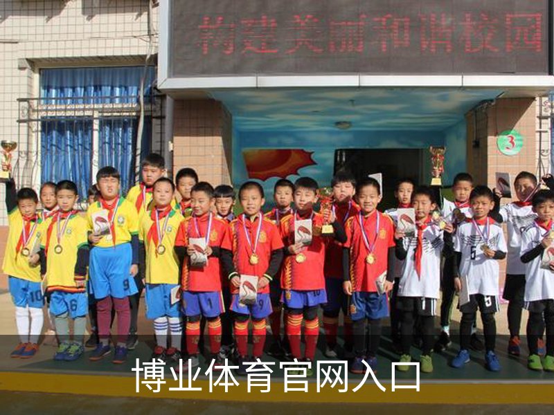 博业体育官网入口简介